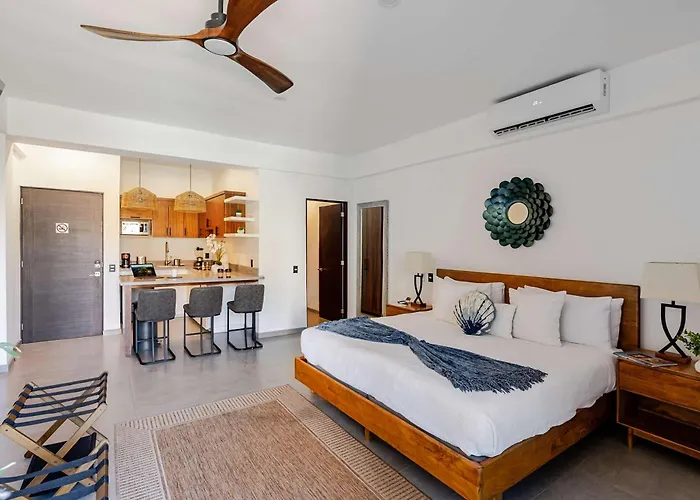 Apartment New Listing Walk To Downtown Cabo King Bed Cabo San Lucas